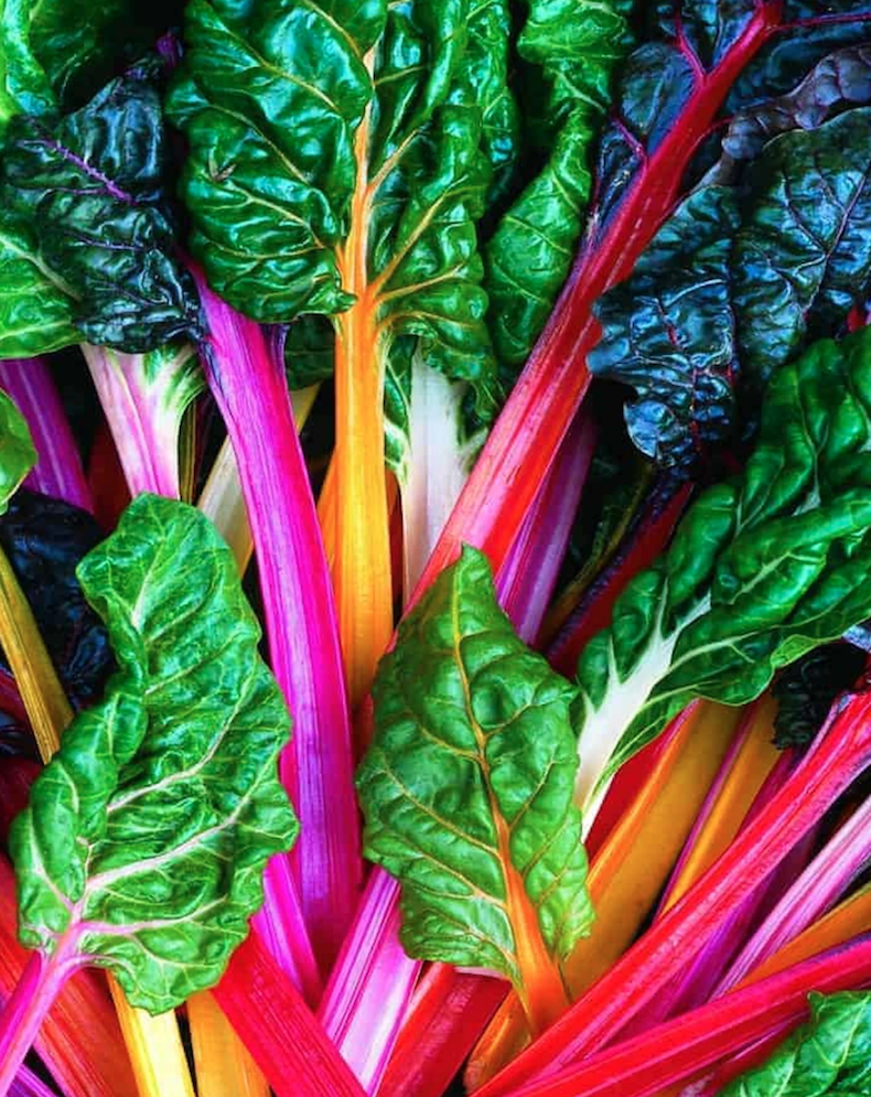 Rainbow Chard