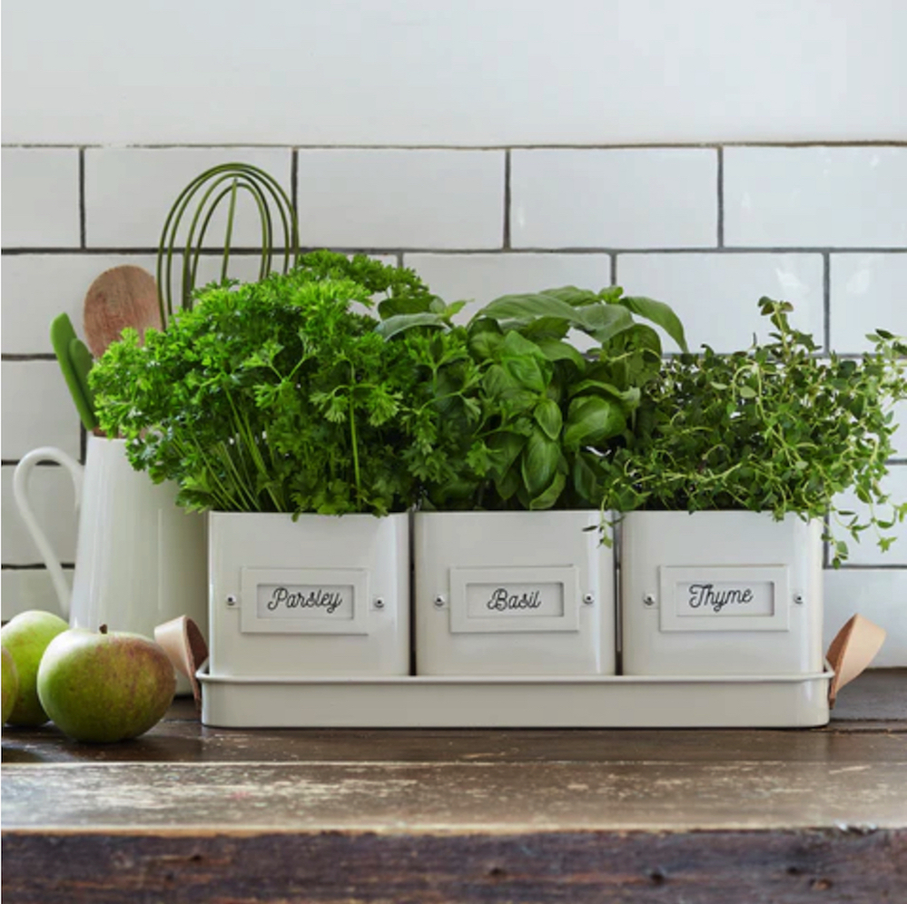 3 Stone coloured metal herbs pots in a tray, with thyme, parsley and basil printed on them. Sold by Usefulgear.