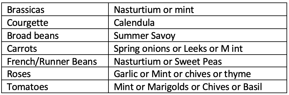 Types of Microgreens