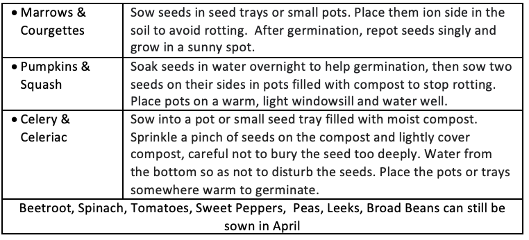 Indoor Seeds to sow in March table