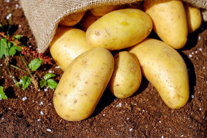 Potatoes on ground Usefulgear April Blog