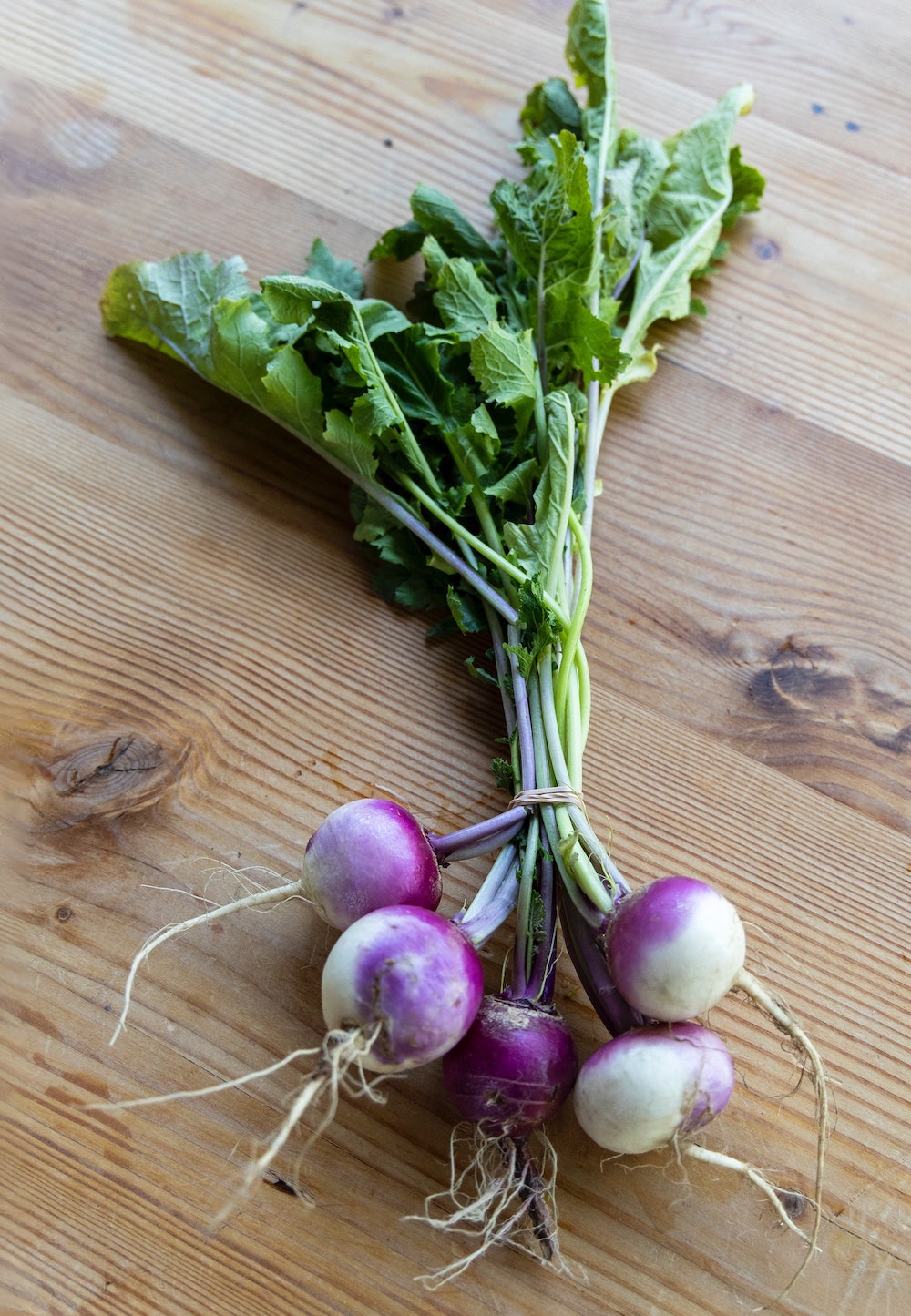 Milan Purple Top turnip picture