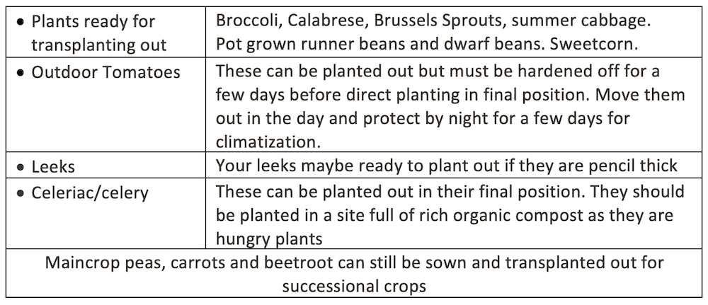 Indoor Seeds to sow in March table