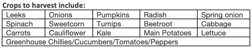 Indoor Seeds to sow in March table