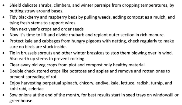 Indoor Seeds to sow in March table